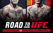 Fighting in the road to UFC