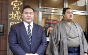 Tamagaki to cover for penalized Hakuho at stable