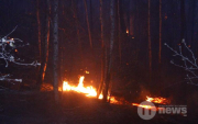 14 fires were extinguished in 7 provinces