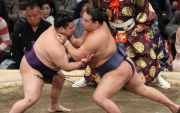 Hoshoryu is competing with aspirations for promotion to Yokozuna