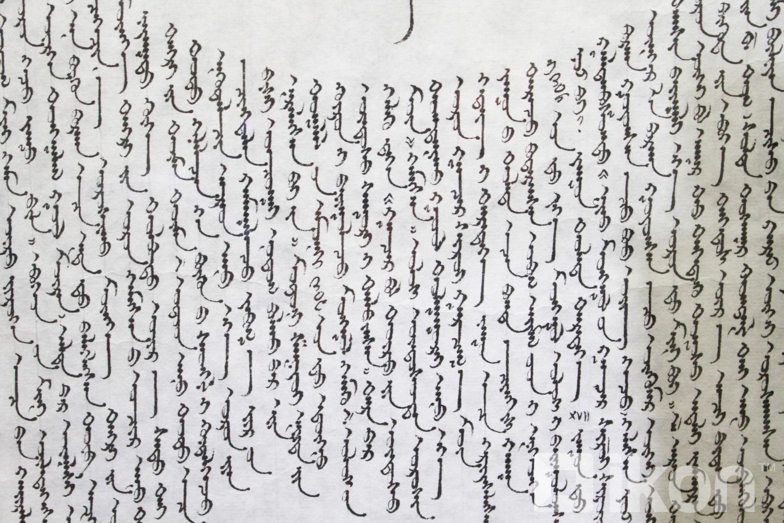 ᠮᠣᠩᠭᠣᠯ ᠬᠡᠯᠡ ᠪᠢᠴᠢᠭ ᠦᠨ ᠰᠢᠯᠭᠠᠯᠲᠠ ᠶᠢᠨ ᠣᠨᠣᠭ ᠠ 400 | News.MN