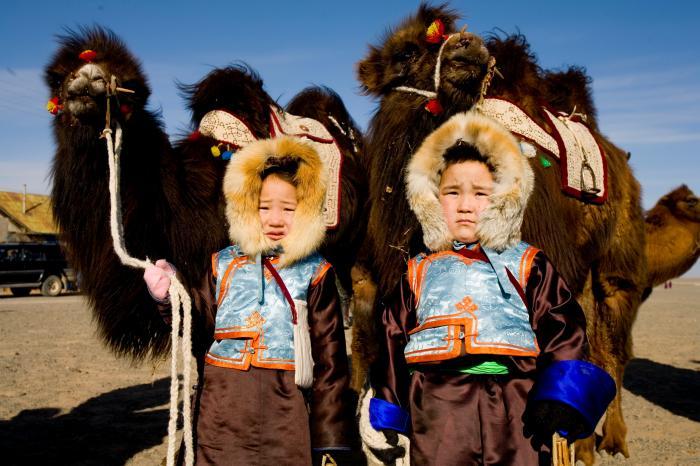 Govi-Altai to host Camel Festival - News.MN