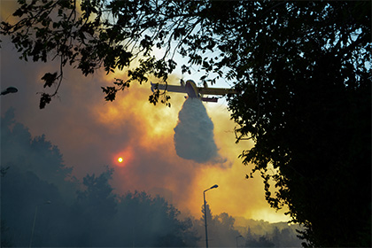 Фото: Gil Eliyahu / Jinipix / Zumapress / Globallookpress.com
