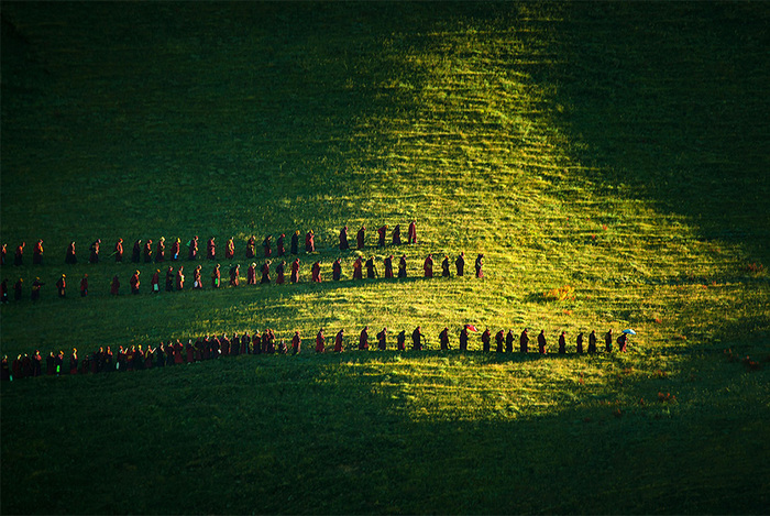 Ууланд гарч яваа хандмаа нар (Сычуань, Хятад). Фото: Biran Zhao / TPOTY