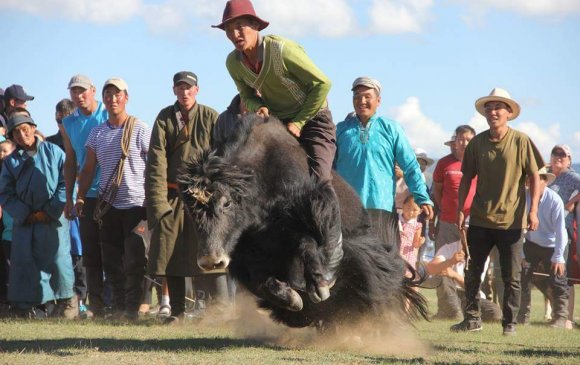 “Монгол сарлаг-2017” фестиваль амжилттай зохион байгуулагдлаа