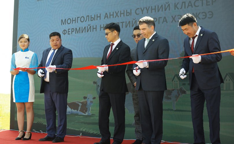 Монголын анхны 400 үнээний кластер ферм үйл ажиллагаагаа эхлүүллээ