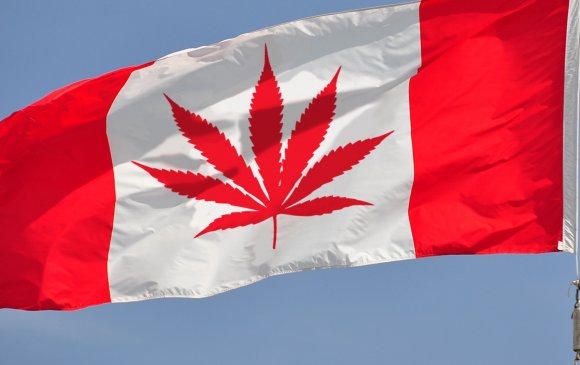 Канад улс марихуаны хэрэглээг зөвшөөрчээ