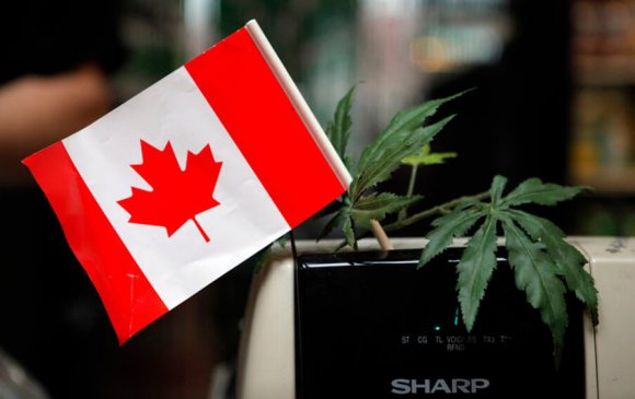 Канад улс марихуаны хомсдолд орж байна