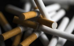 Жилд тамхинаас болж 7 сая гаруй хүн нас бардаг