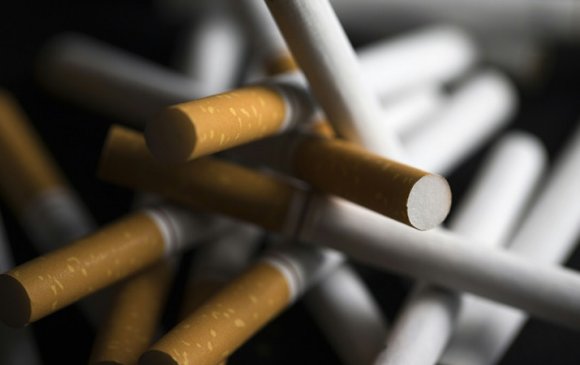 Жилд тамхинаас болж 7 сая гаруй хүн нас бардаг