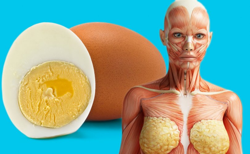 Өдөрт нэг өндөг идвэл зүрх судасны өвчнөөс сэргийлж чадна
