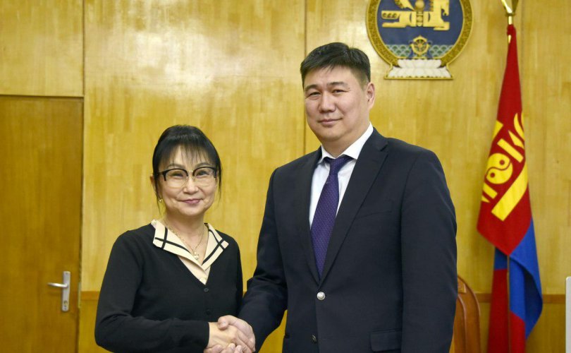 Ханнс-Зайделийн сангийн Монгол дахь төслийн удирдагчийг хүлээн авч уулзав