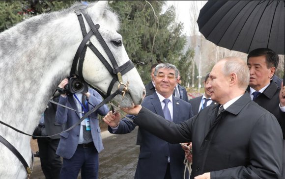 ФОТО: Путинд хатирч морь, тайгын нохой бэлэглэжээ