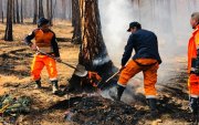 Ой, хээрийн түймрийн улмаас 160 гаруй тэрбум төгрөгийн хохирол учиржээ