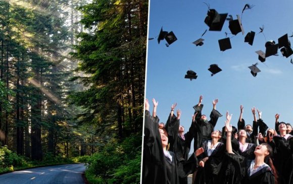Сургууль төгсөж буй хүн бүр 10 мод тарих хууль санаачилжээ