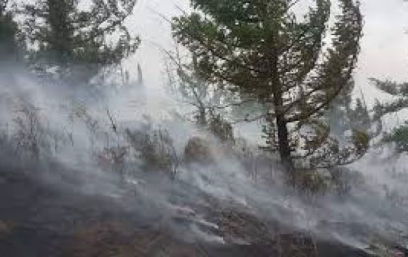 Он гарсаар 62 удаагийн ой, хээрийн түймэр гараад байна