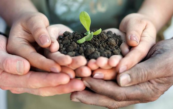 “Эрүүл хөрс-Эрүүл орчин” өртөөчилсөн өдөрлөгийг дүүрэг бүрт зохион байгуулна