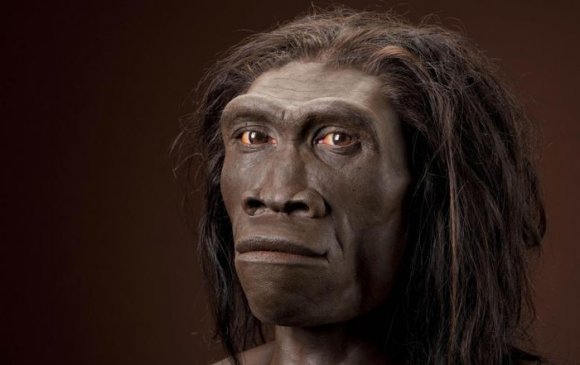 Индонезээс 1.8 сая жилийн настай эртний хүний үлдэгдэл олджээ
