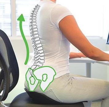 sitting-on-backjoy-sitsmart-posture-plus