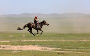 Соёолонгийн уралдаанд 163 хүлэг гараанаас гарлаа