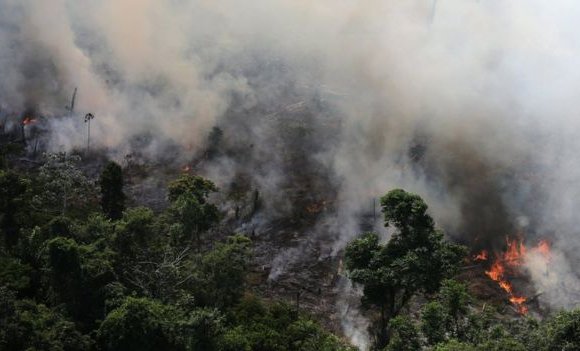 Амазоны ширэнгэн ой түймэрт нэрвэгджээ
