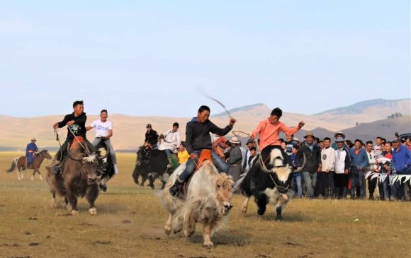 Тайхарын талд “Монгол сарлаг"-2019 фестиваль өргөн дэлгэр боллоо