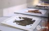 Монголын эзэнт гүрний үеийн археологийн шинэ нээлт (25)