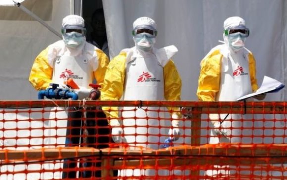 Шведэд Эбола вирусын шинж тэмдэг илэрлээ