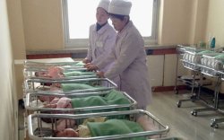 Шинээр төрсөн хүүхдээ E-Mongolia системээр дамжуулан бүртгүүлэх боломжтой