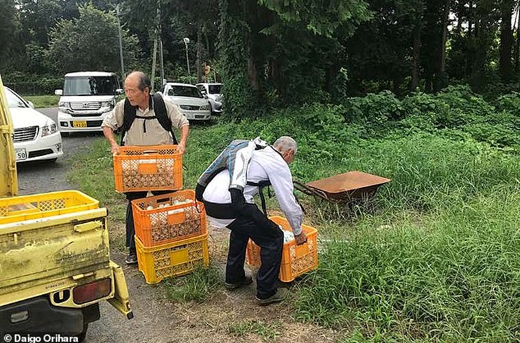 Хөгшин Японы 70 настнууд ажил хийхийн тулд экзоскелет өмсч байна