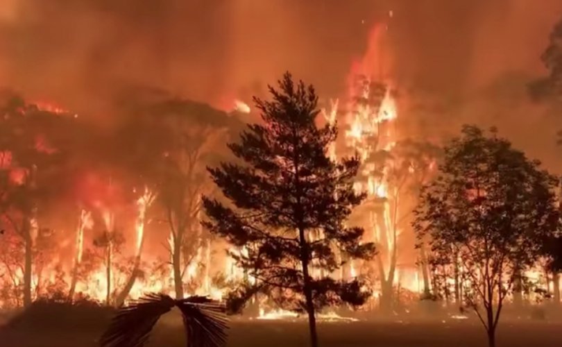 Австралийн эрэгт 4,000 орчим хүн түймэрт хашигдаад байна