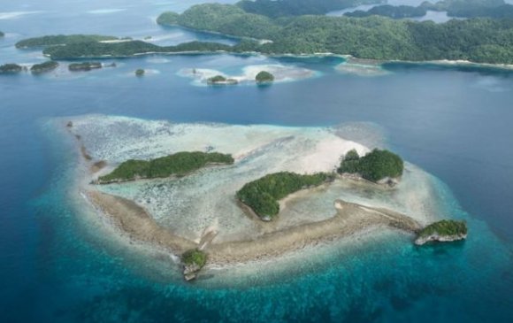 Палау улс шүрэн хаданд нарны тос хэрэглэхийг хориглов