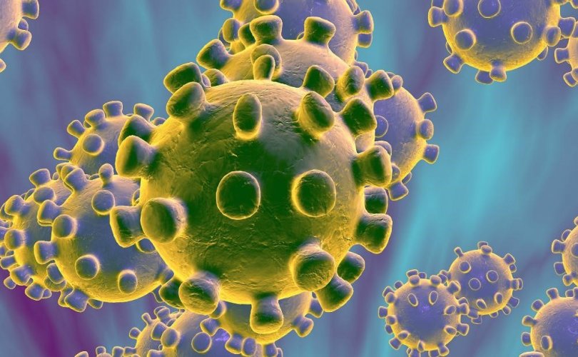 Хятад: 1723 үхлийн вирус халдварласан байх магадлалтай