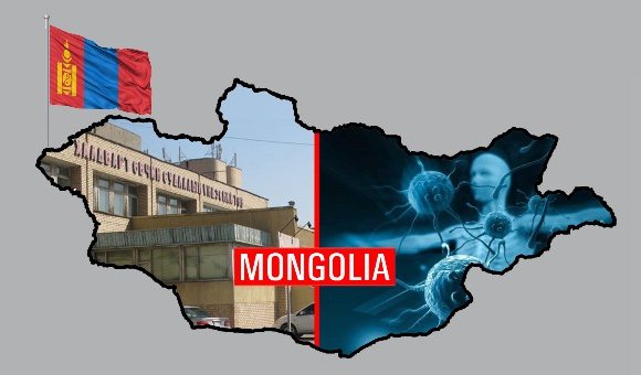 ДЭМБ: Монгол Улс бэлтгэл хангах цаг ирлээ