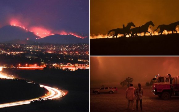 Австралийн нийслэл гал түймрийн аюулд өртөөд байна
