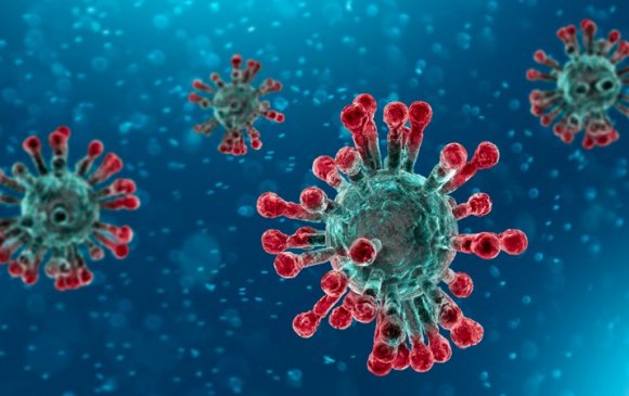 Европт коронавирусийн халдвараар анхны хүн нас барлаа