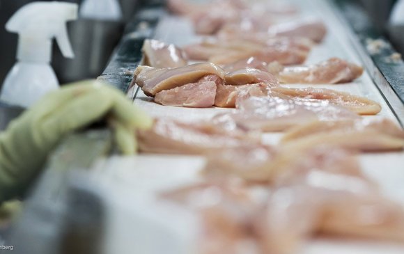 Тахианы мах импортлогч компаниудаас зөрчил илрэв