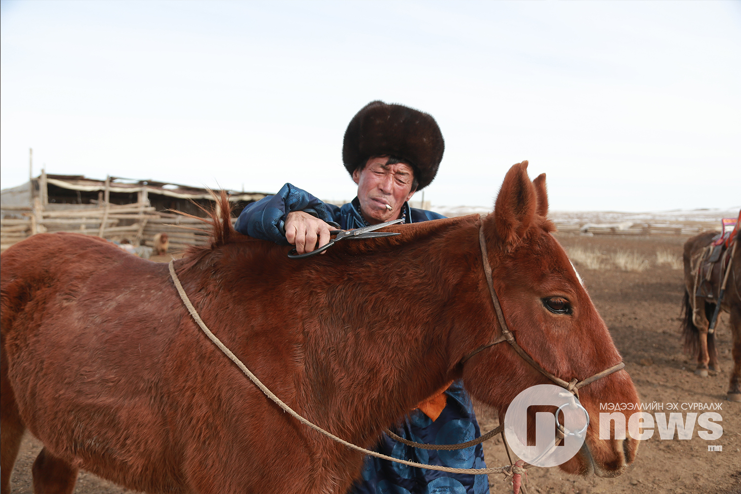 tsagaan sar 4