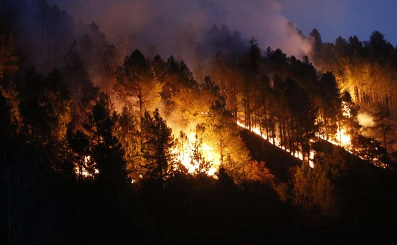 Хятадын Сычуань мужид ой хээрийн түймэр гарч, 19 хүн амиа алджээ