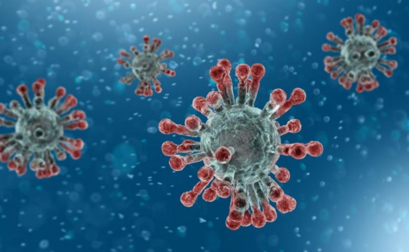 Шинэ коронавируст халдварын нөхцөл байдлын шинэчлэгдсэн мэдээлэл