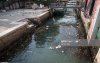 The picture shows the dirty in some of the canals of Venice, Italy