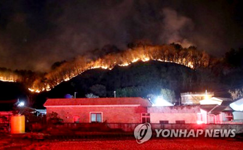 Өмнөд Солонгост хүчтэй шуурга шуурч, ой хээрийн түймэр гарчээ