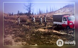 Ногоон бүсэд эргүүл, хяналт, шалгалтыг тогтмол зохион байгуулж байна