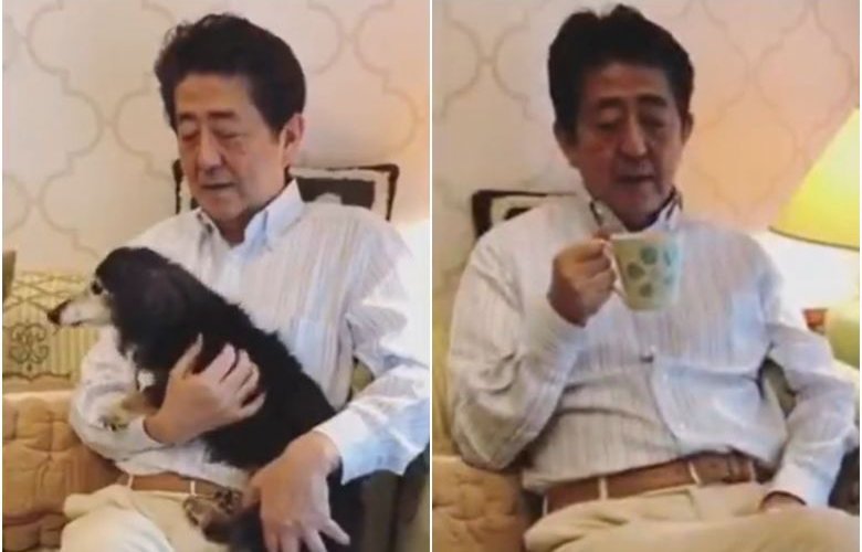 Японы Ерөнхий сайдын нохойгоо эрхлүүлж буй бичлэг шүүмжлэлд өртөв