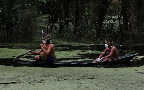 Амазон омгууд цар тахалтай уламжлалт эмчилгээгээрээ тэмцэж байна