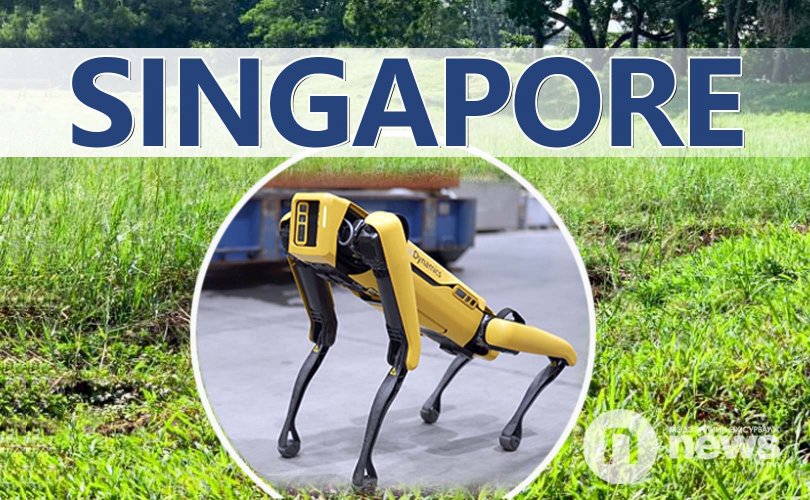 Сингапурт робот нохойгоор хөл хорио сахиулж байна