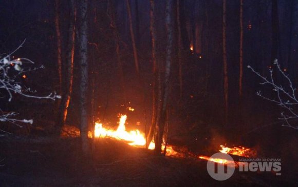 Булган, Дорнод аймагт гарсан хээрийн түймэрт 5002 га газар өртжээ