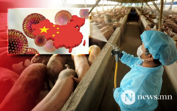 Цар тахал болох эрсдэлтэй томуугийн вирус Хятадад тархжээ