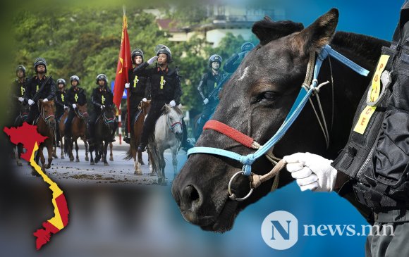 Вьетнам цагдаа нарын Монгол морьдыг хүмүүс “өхөөрдөж” байна