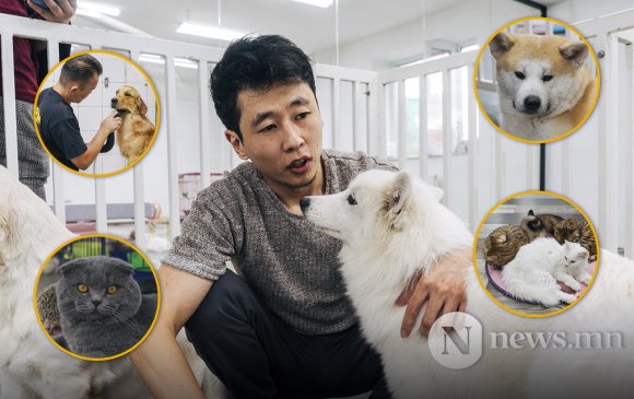 Сурвалжлага: Монголдоо анхдагч “Муур нохойны кафе”